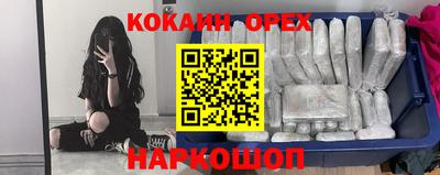 крисы Будённовск