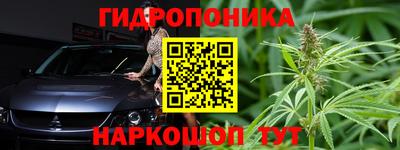 крисы Будённовск