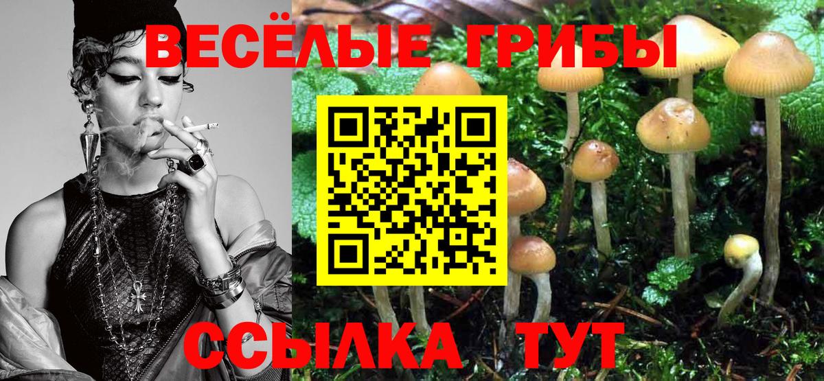 Псилоцибиновые грибы мицелий  Псилоцибиновые грибы Psilocybe  Фролово  Вход с VPN 