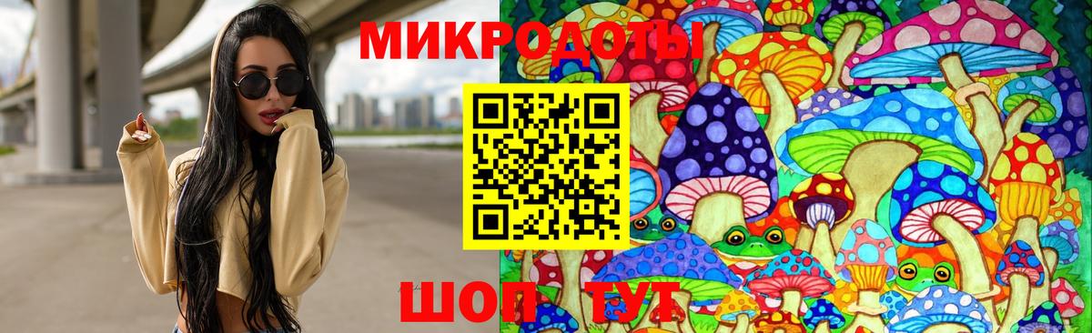 Псилоцибиновые грибы Psilocybe Фролово